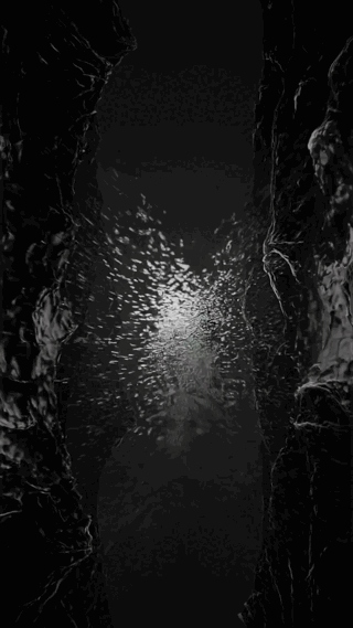 The Separation Of Two Seas